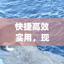 快捷高效實用,現代生活的首選生活方式