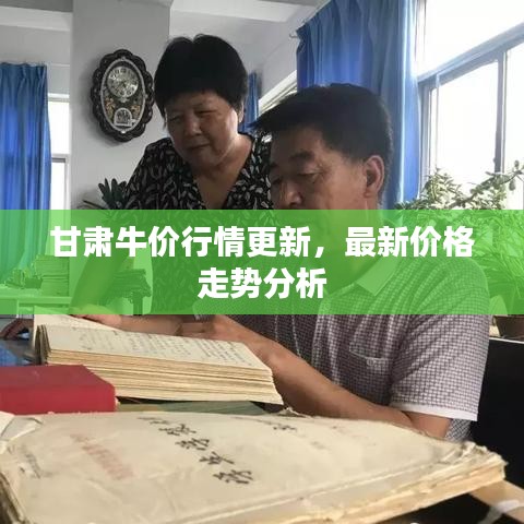 甘肅牛價行情更新,最新價格走勢分析