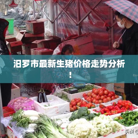 汨羅市最新生豬價格走勢分析！