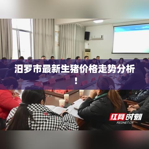 汨羅市最新生豬價格走勢分析!