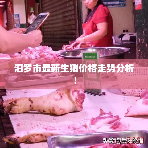 汨羅市最新生豬價格走勢分析!