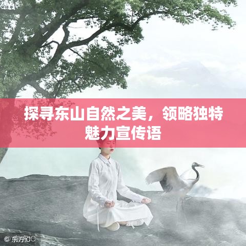 探尋東山自然之美，領略獨特魅力宣傳語