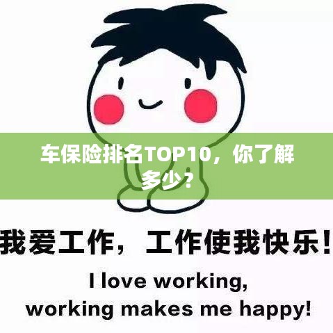 車保險排名TOP10,你了解多少?