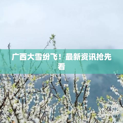 廣西大雪紛飛!最新資訊搶先看