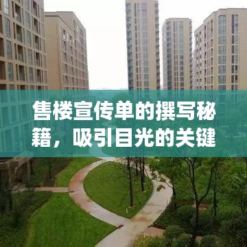 售樓宣傳單的撰寫秘籍,吸引目光的關鍵技巧