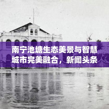 南寧池塘生態美景與智慧城市完美融合,新聞頭條重磅報道