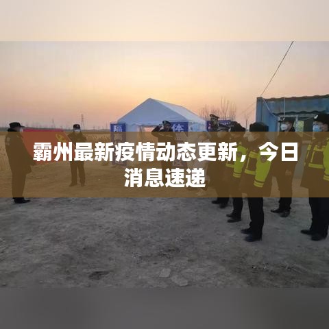 霸州最新疫情動態更新,今日消息速遞