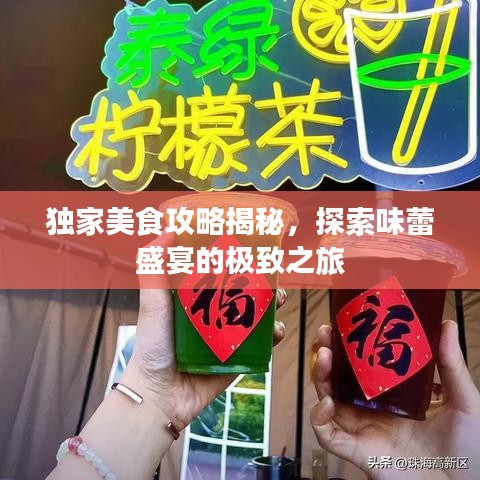 獨家美食攻略揭秘,探索味蕾盛宴的極致之旅