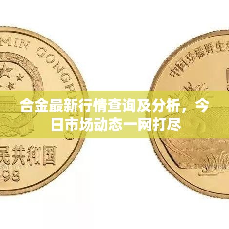 合金最新行情查詢及分析,今日市場動態一網打盡