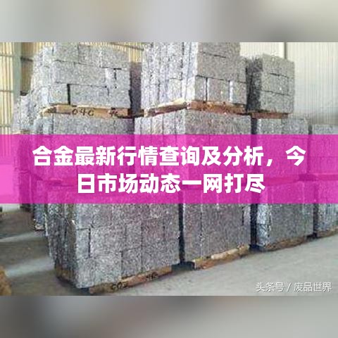 合金最新行情查詢及分析,今日市場動態一網打盡
