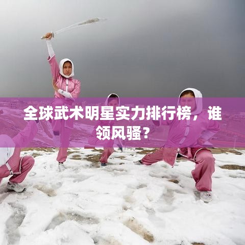 全球武術明星實力排行榜,誰領風騷?