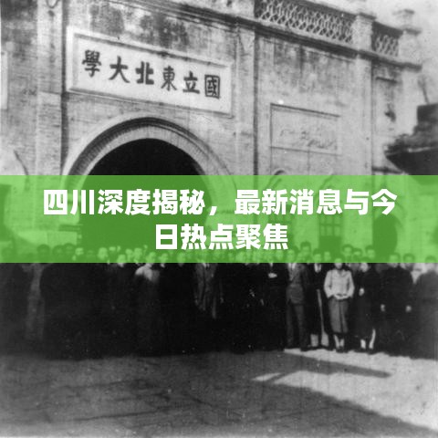 四川深度揭秘,最新消息與今日熱點聚焦