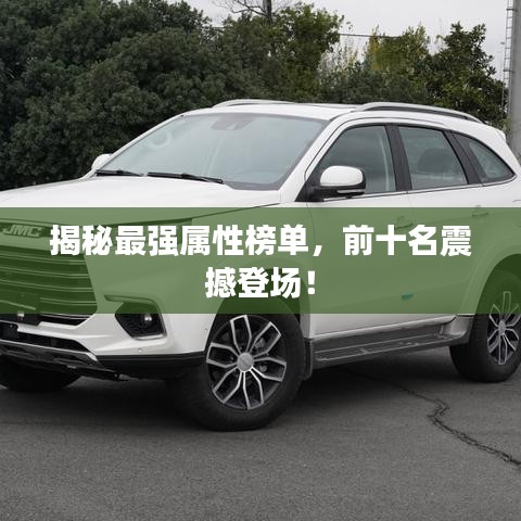 揭秘最強屬性榜單,前十名震撼登場!