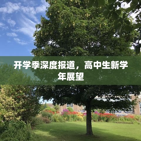 開學季深度報道,高中生新學年展望