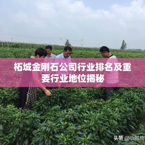 柘城金剛石公司行業排名及重要行業地位揭秘