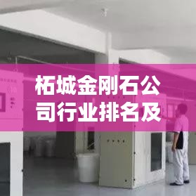 柘城金剛石公司行業(yè)排名及重要行業(yè)地位揭秘