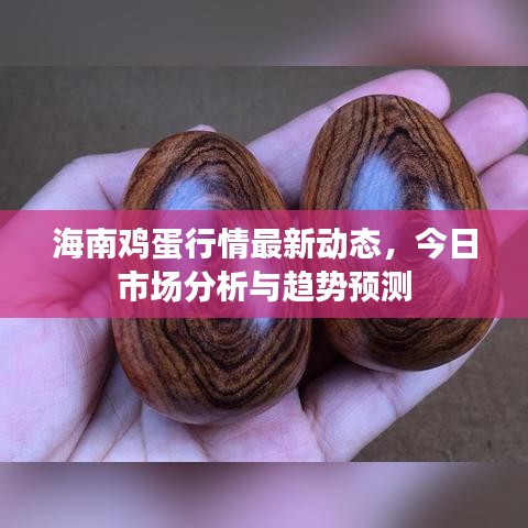 海南雞蛋行情最新動態，今日市場分析與趨勢預測