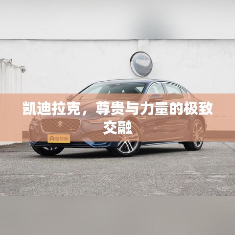 凱迪拉克，尊貴與力量的極致交融