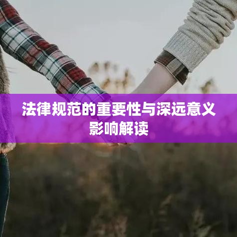 法律規(guī)范的重要性與深遠(yuǎn)意義影響解讀