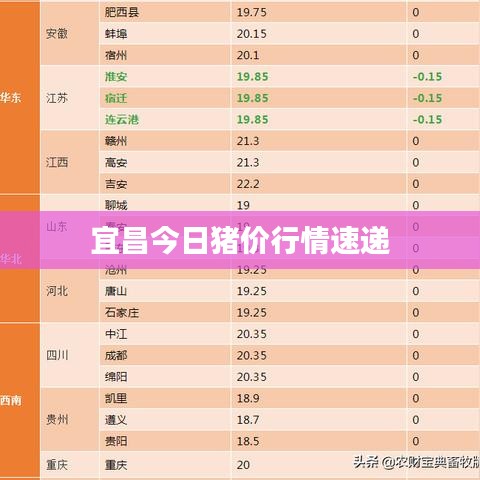 宜昌今日豬價(jià)行情速遞