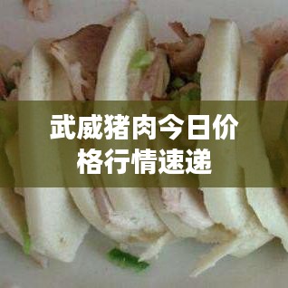 武威豬肉今日價格行情速遞