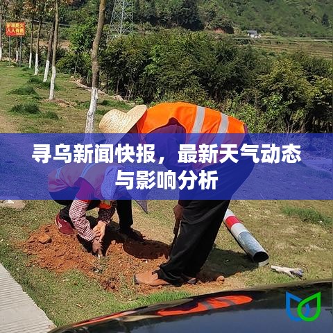 尋烏新聞快報,最新天氣動態與影響分析