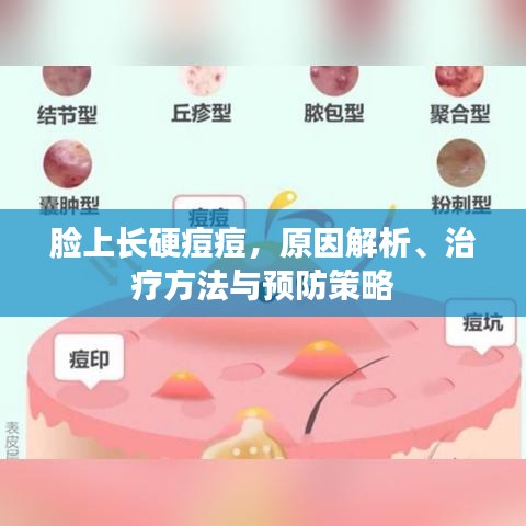 臉上長硬痘痘,原因解析、治療方法與預防策略