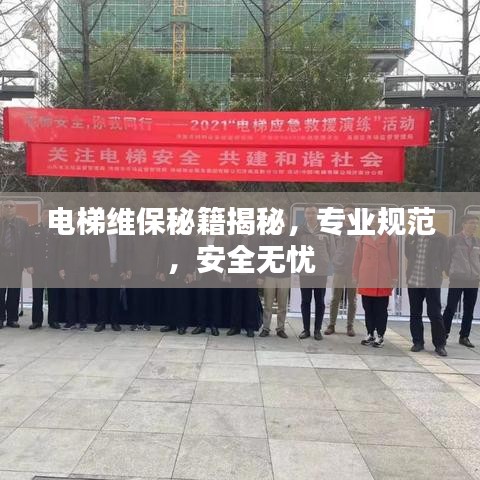 布被瓦器 第3頁