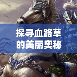 探尋血路草的美麗奧秘,百度圖片帶你領(lǐng)略血路草的風(fēng)采