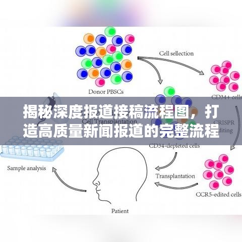 揭秘深度報道接稿流程圖,打造高質量新聞報道的完整流程揭秘
