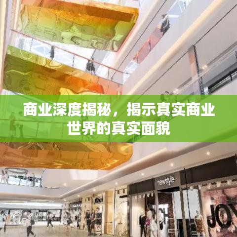 商業深度揭秘,揭示真實商業世界的真實面貌