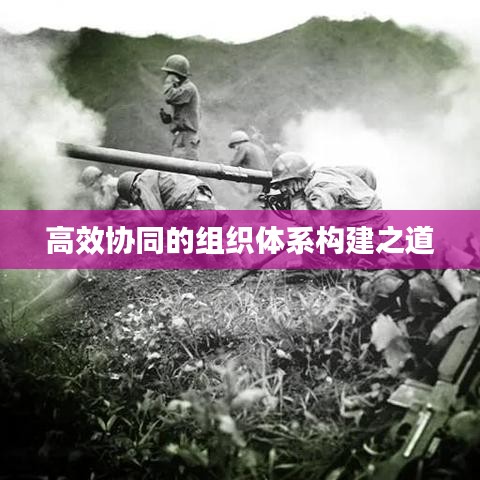 高效協同的組織體系構建之道