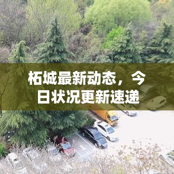 柘城最新動態,今日狀況更新速遞