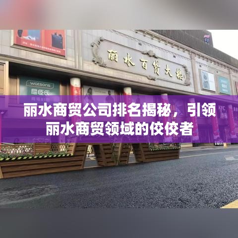 麗水商貿公司排名揭秘,引領麗水商貿領域的佼佼者