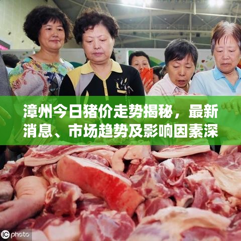漳州今日豬價走勢揭秘,最新消息、市場趨勢及影響因素深度解析