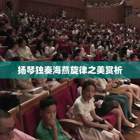 揚琴獨奏海燕旋律之美賞析