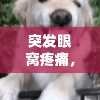 突發眼窩疼痛,原因解析及應對方法,你需要知道!