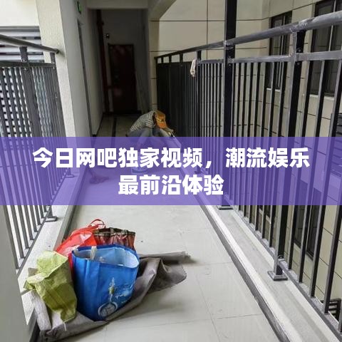 今日網(wǎng)吧獨家視頻,潮流娛樂最前沿體驗