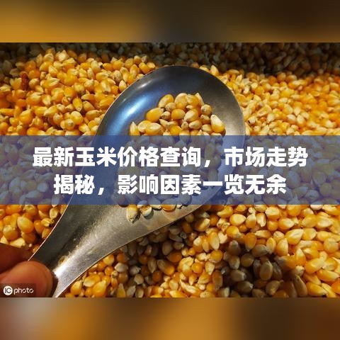 最新玉米價格查詢，市場走勢揭秘，影響因素一覽無余