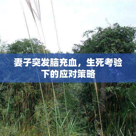 妻子突發腦充血,生死考驗下的應對策略