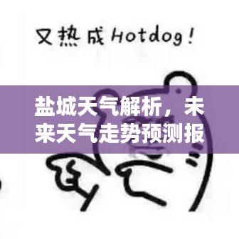 鹽城天氣解析，未來天氣走勢預測報告！