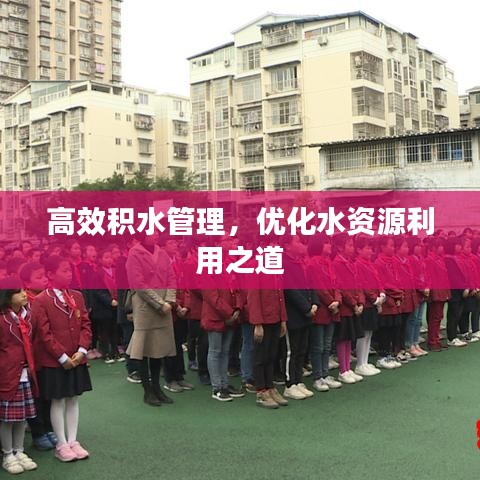 高效積水管理,優化水資源利用之道