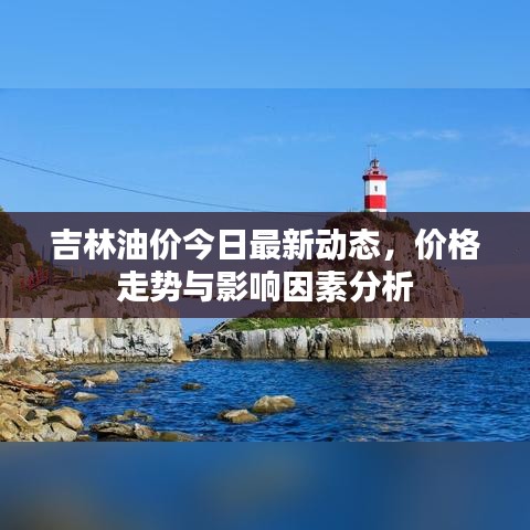 吉林油價今日最新動態,價格走勢與影響因素分析