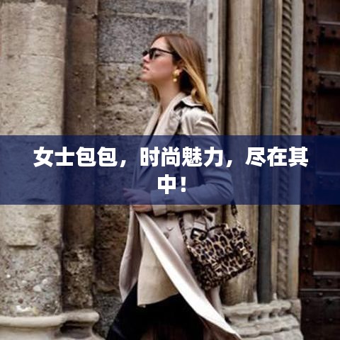 女士包包,時尚魅力,盡在其中!