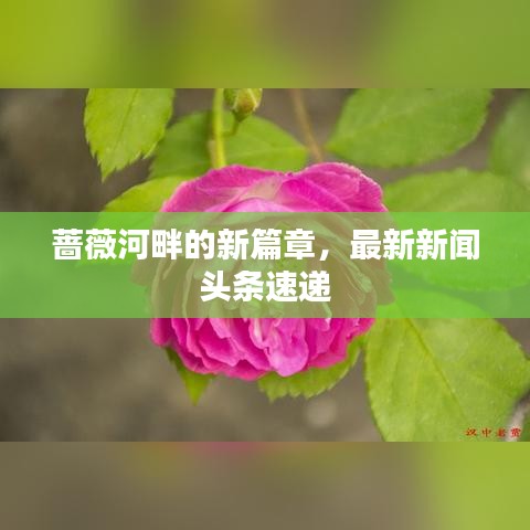 薔薇河畔的新篇章,最新新聞頭條速遞