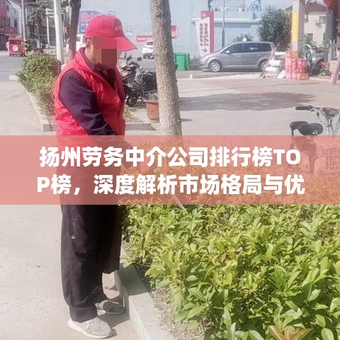 揚州勞務中介公司排行榜TOP榜,深度解析市場格局與優(yōu)質服務商!