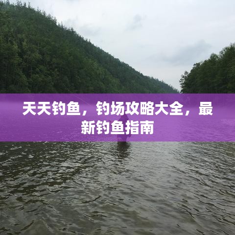 天天釣魚,釣場攻略大全,最新釣魚指南