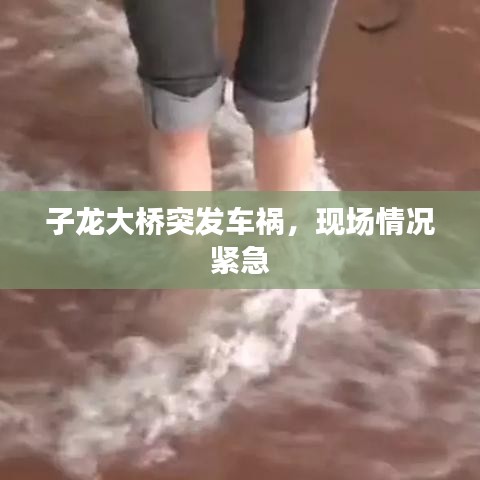 子龍大橋突發車禍,現場情況緊急