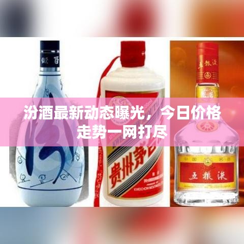 汾酒最新動態曝光,今日價格走勢一網打盡