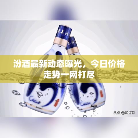 汾酒最新動態(tài)曝光,今日價格走勢一網(wǎng)打盡